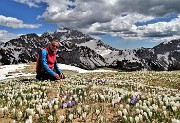 Primavera al Monte Campo, neve al Laghetto di Pietra Quadra -20magg21 - FOTOGALLERY